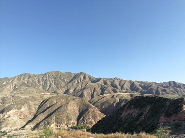 image1.jpeg